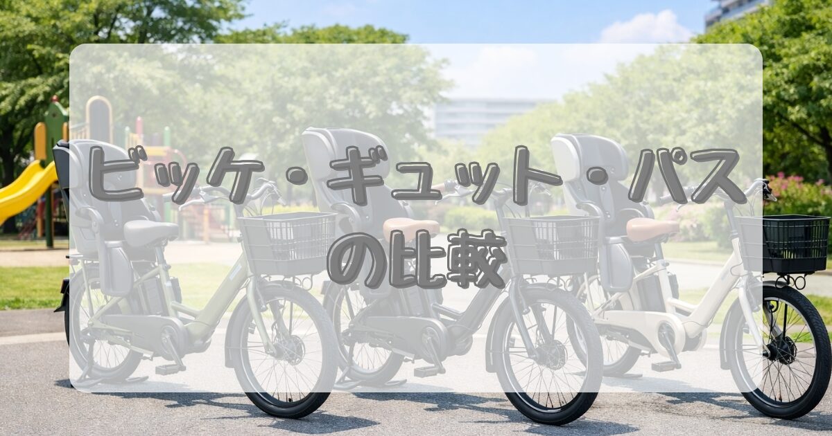 ビッケ・ギュット・パス比較のイメージ画像