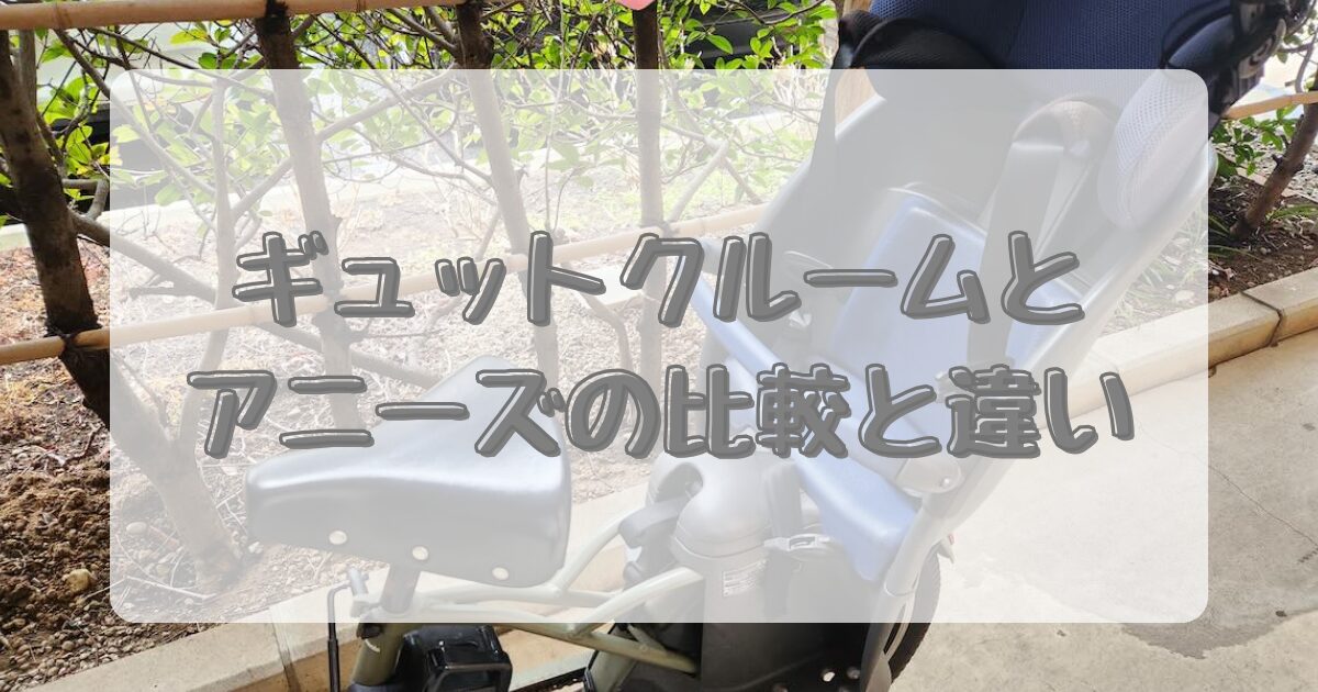 ギュットクルームとアニーズの比較と違いのイメージ画像